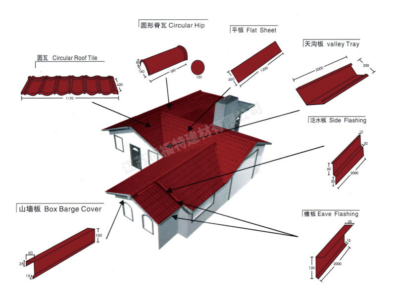 1-240QG11R4631.jpg